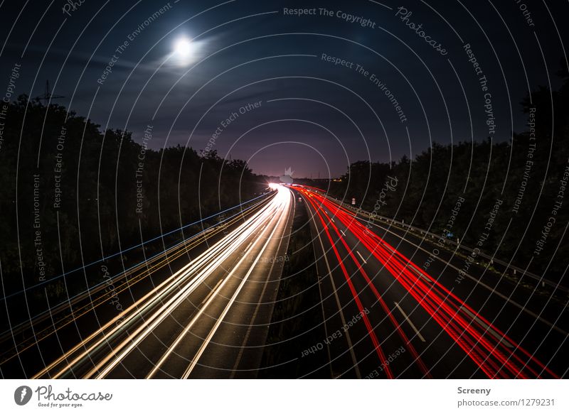 Turn left to the moon... Landscape Sky Clouds Moon Full  moon Summer Tree Transport Traffic infrastructure Passenger traffic Road traffic Motoring Street