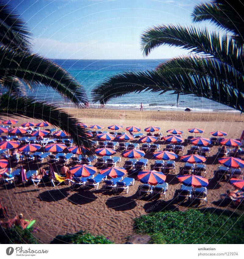 prospect Calm Vacation & Travel Tourism Beach Ocean Sky Horizon Summer Palm tree Far-off places Gloomy Sunshade Square Lanzarote Tourist Vantage point holiday