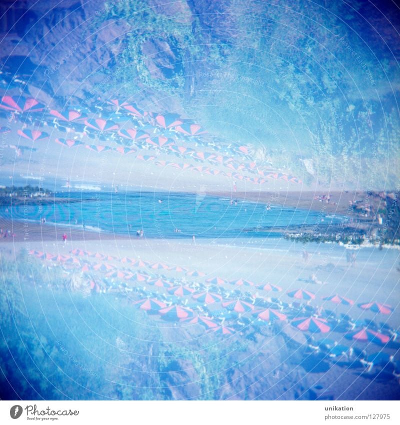 Top or bottom Calm Vacation & Travel Sun Beach Ocean 2 Human being Sand Sky Summer Rotate Above Under Blue Perspective Palm tree Sunshade Square Lanzarote