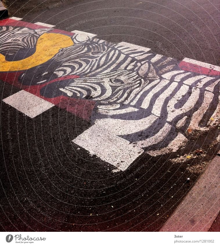 Zebra on the Strip III Traffic infrastructure Road traffic Animal Zoo Safety Zebra crossing Transport Street Colour photo Exterior shot Deserted Copy Space top