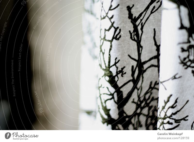 Nature in the hallway. Tree Drape Curtain Green White Cloth Hang Light Hallway Screen print Printed Matter Pressure Wrinkles Shadow