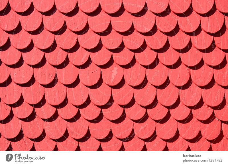 monotonous | shingle to shingle House (Residential Structure) Building Wall (barrier) Wall (building) Facade Roofing tile Wood Ornament Row Red Design Colour