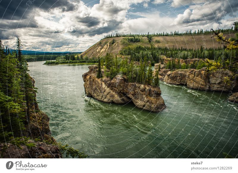 Yukon Forest Rock River bank Yukon River Rapid Movement Loneliness Threat Far-off places Exterior shot Panorama (View)