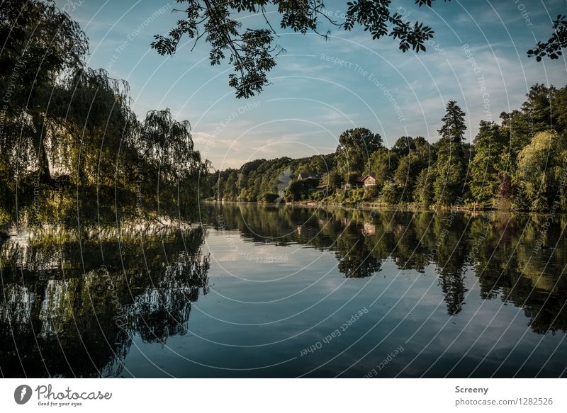 Lake Harik Vacation & Travel Tourism Trip Nature Landscape Plant Water Sky Clouds Summer Beautiful weather Tree Lakeside Wet Blue Green Calm Idyll Colour photo