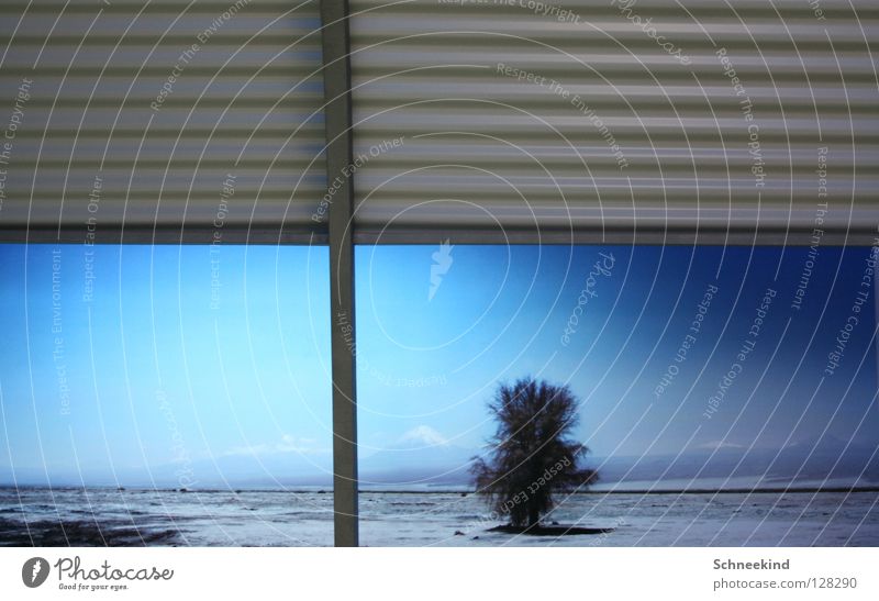 Viewed from a distance Tree Window Far-off places Loneliness Panorama (View) Beautiful Mountain Snow Looking Large