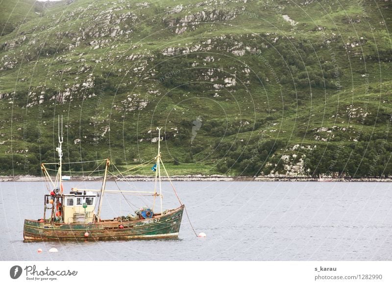 Colourful fishing cutter in Ullapool, Scotland Trip Nature Landscape Water Moss Coast Ocean ulllapool Europe Fishing village Small Town Means of transport