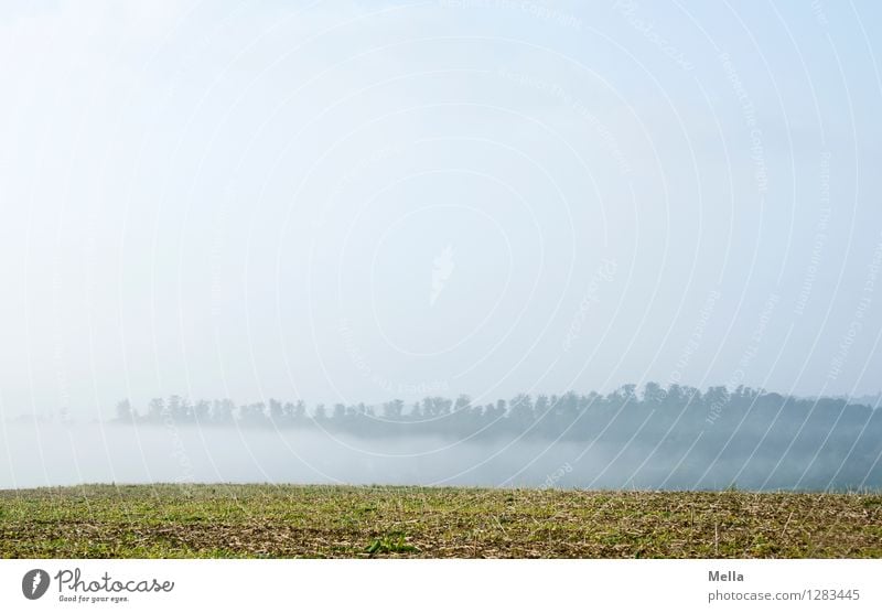 swaths Environment Nature Landscape Air Sky Weather Fog Meadow Field Forest Hill Natural Blue Moody Relaxation Calm Far-off places Pull Fog bank Simple Empty