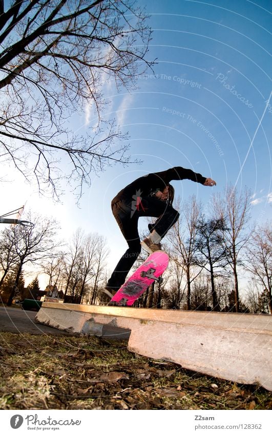 frontside boardslide I Action Skateboarding Contentment Kickflip Salto Jump Striped Tar Concrete Light Tree Wide angle Youth (Young adults) Sports Puddle