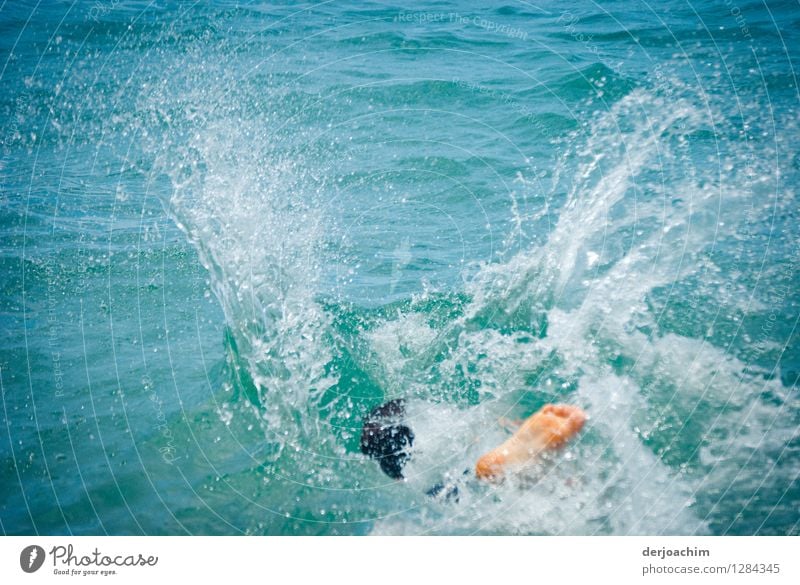 "Summer" at its best, Fun in the Pacific, Little water bomb in the ocean. Athletic Life Contentment Swimming & Bathing Aquatics Young man Youth (Young adults)