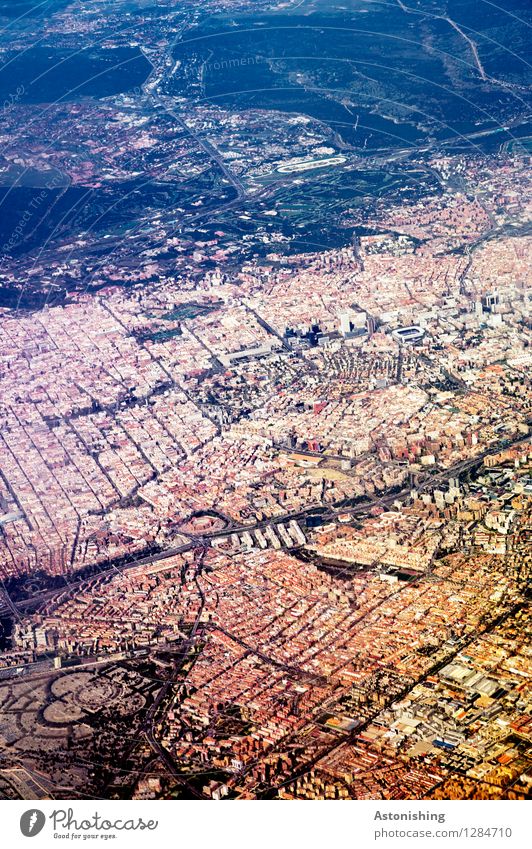 a bird looks at Madrid Nature Landscape Field Forest Hill Spain Town Capital city Downtown House (Residential Structure) Hut High-rise Park Places Train station