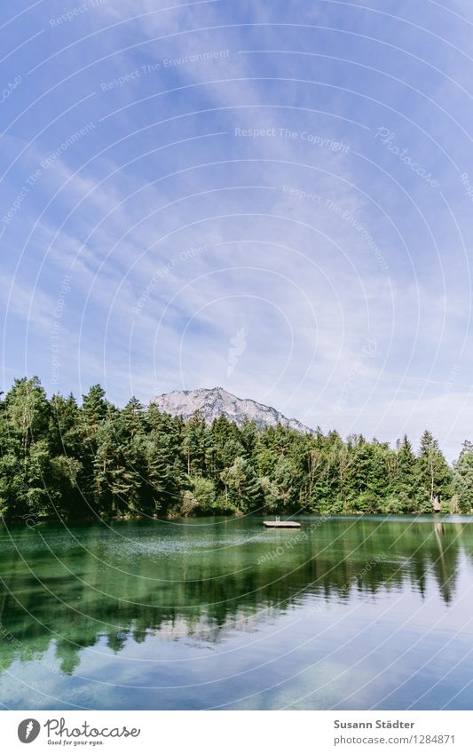 Anif forest bath Forest Rock Alps Mountain Peak Stagnating Platform Forest lake Mountain lake Federal State of Salzburg Bathing place Colour photo Dawn Light