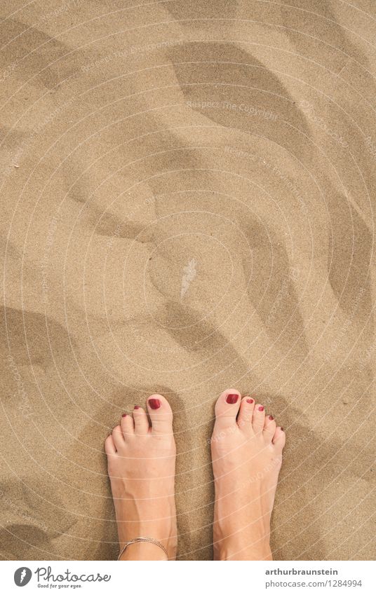 Feet in the sandy beach Pedicure Relaxation Vacation & Travel Tourism Summer Summer vacation Sun Beach Ocean Island Aquatics Pool attendant Human being Feminine