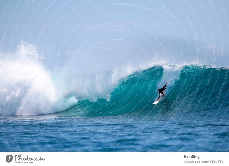 Surfing Indonesia III Beautiful weather Reef Coral reef Ocean Island Enthusiasm Euphoria Cool (slang) Authentic Fear Dangerous Human being Water Blue Waves