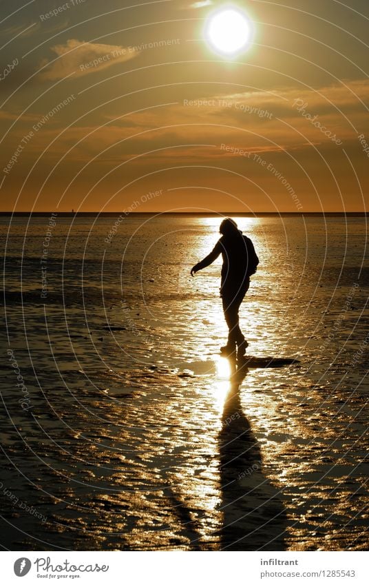 Evening walk at low tide Trip Summer Sun Beach Ocean Hiking Feminine 1 Human being Nature Sand Water Sky Clouds Sunrise Sunset Coast North Sea Going Walking