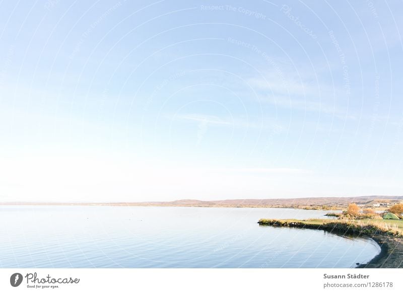 Lake Mývatn Sailing Nature Landscape Beautiful weather Meadow Stand Body of water Iceland Interior lake Camping site Tent water edge Calm Waveless Smooth Krafla