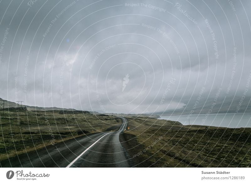 Iceland Landscape Clouds Storm clouds Horizon Autumn Bay Fjord Dark Natural Street Lanes & trails Moss Carpet of moss overcast Electricity pylon Far-off places