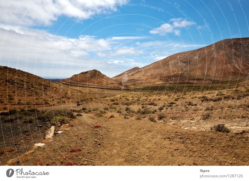 stone sky hill and summer lanzarote spain Vacation & Travel Tourism Trip Adventure Summer Island Mountain Nature Landscape Plant Sand Sky Clouds Flower Park