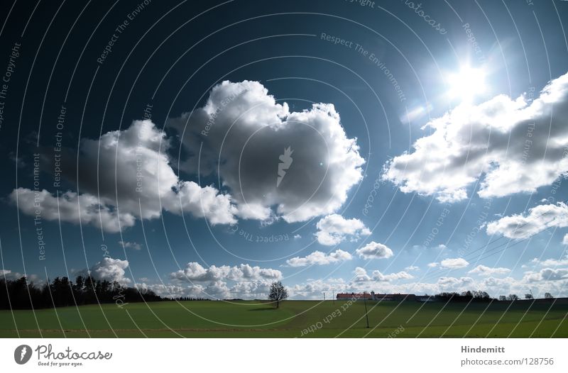 Take a step out of the crowd and enjoy the sun. Clouds Tree White Green Red House (Residential Structure) Roof Physics Brilliant Wide angle Meadow Field