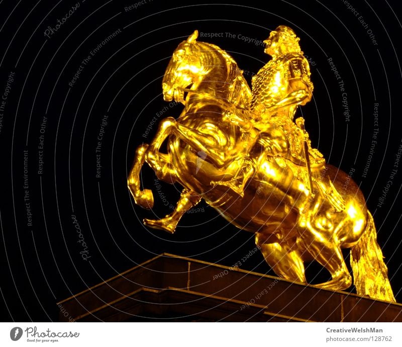 Strong gold piece Night Dark Cold Glittering Expensive Fiery Horse Majestic Graceful Beautiful Brave Monument Solid Unwavering Important Famousness Dresden