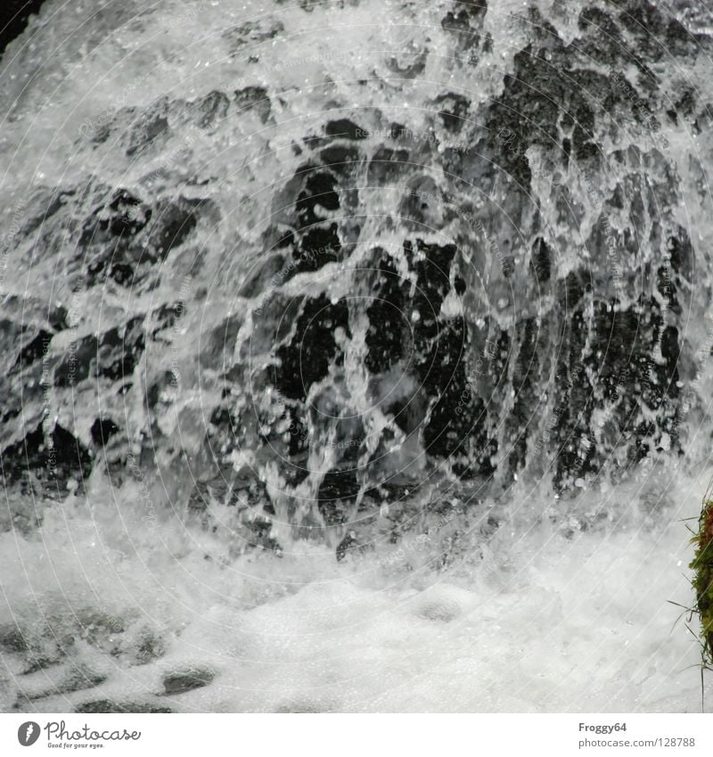 Wild Water Inject Cold Black White Brook Mountain stream Damp Wet Current River Navigation Wild animal Waterfall Rock Stone