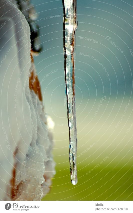 Cold! Icicle Ice crystal Frozen Freeze Under Hang Transparent Clink Winter Green White Lighting Glittering Wood Stack of wood Glimmer Water Frost Snow Downward