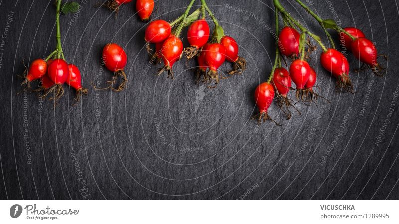 Rosehips on a dark background Food Fruit Nutrition Tea Style Design Healthy Alternative medicine Healthy Eating Life Summer Garden Decoration Table Nature Plant