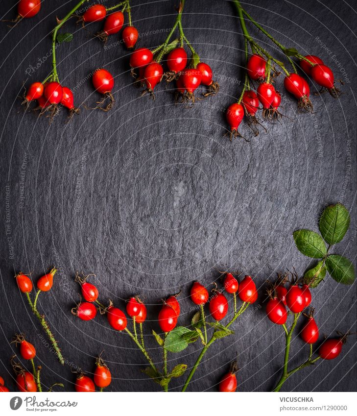 Rosehips on dark slate background, top view Food Fruit Nutrition Tea Style Design Alternative medicine Healthy Eating Life Cure Table Nature Plant Garden Retro