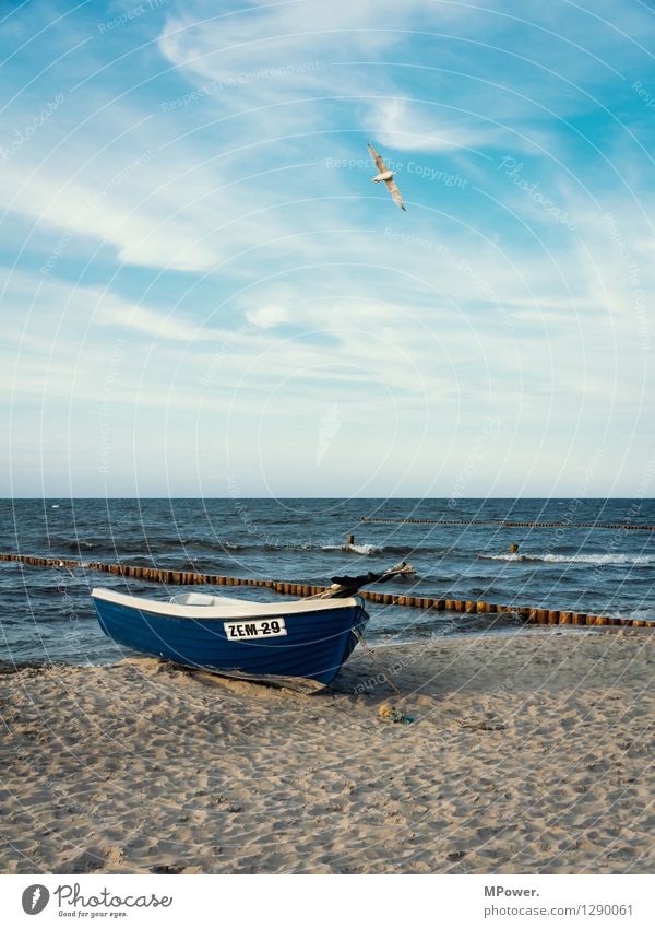 zempin Vacation & Travel Beach Ocean Environment Nature Landscape Sky Baltic Sea Watercraft Flying Maritime Blue Seagull Swell Colour photo Exterior shot