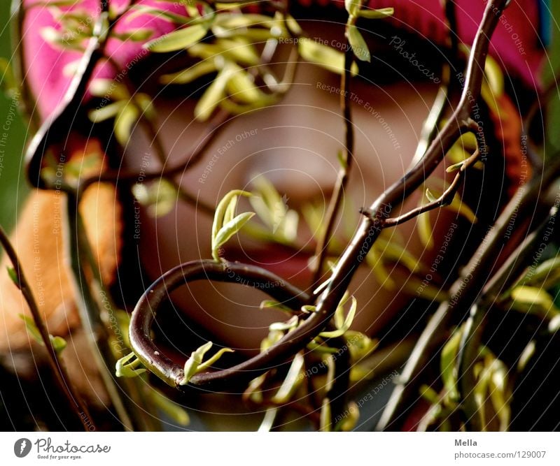 Cornerstone, Cornerstone, ... Human being Face Plant Bushes Twigs and branches Infancy Hide Hiding place Colour photo Day Blur Shallow depth of field