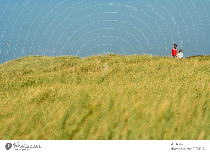 dos Netherlands Grass Vacation & Travel Ocean Summer Panorama (View) coast Girl Child 2 Small Large Blonde Dark-haired Red T-shirt White Sky blue Green