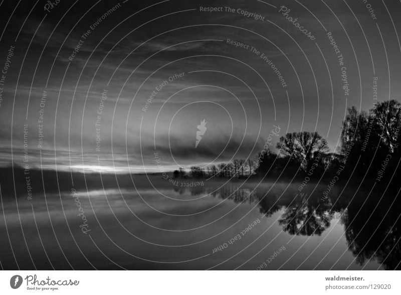 Black Morning Lake Fog Tree Twilight Morning fog Clouds Autumn Cold Calm Black & white photo Water Sky Dawn Feisneck Müritz National Park