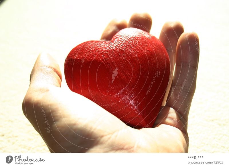 A handful of hearts! Hand Fingers Things Heart Love Arm Valentine's Day