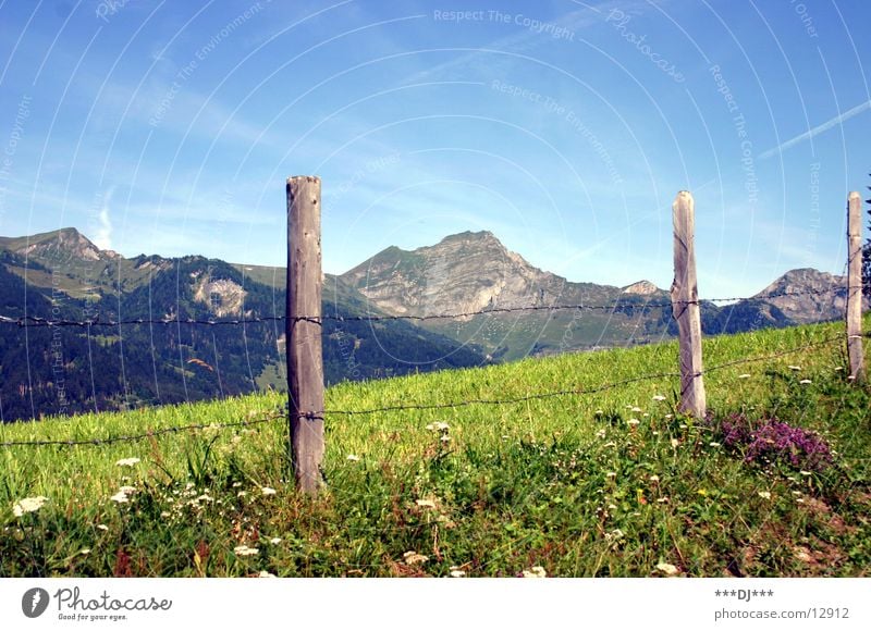 The alp Grass Clouds Summer Fence Juicy Vacation & Travel Beautiful Physics Mountain Sky Sun Pole Blossoming Warmth