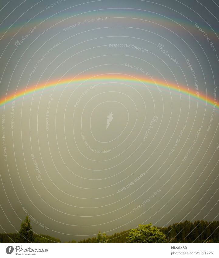 colors of the Rainbow Nature Summer Climate Weather Happy Double exposure Illuminate colour spectrum Colour photo Exterior shot Deserted Copy Space bottom