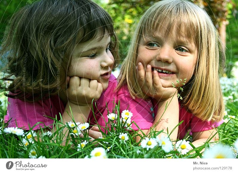 girlfriends Headrest Friendship Appearance Summery Girl 2 Cute pretty Blonde Dark-haired Grinning Happiness Alert Contentment Meadow Daisy Goof off Innocent