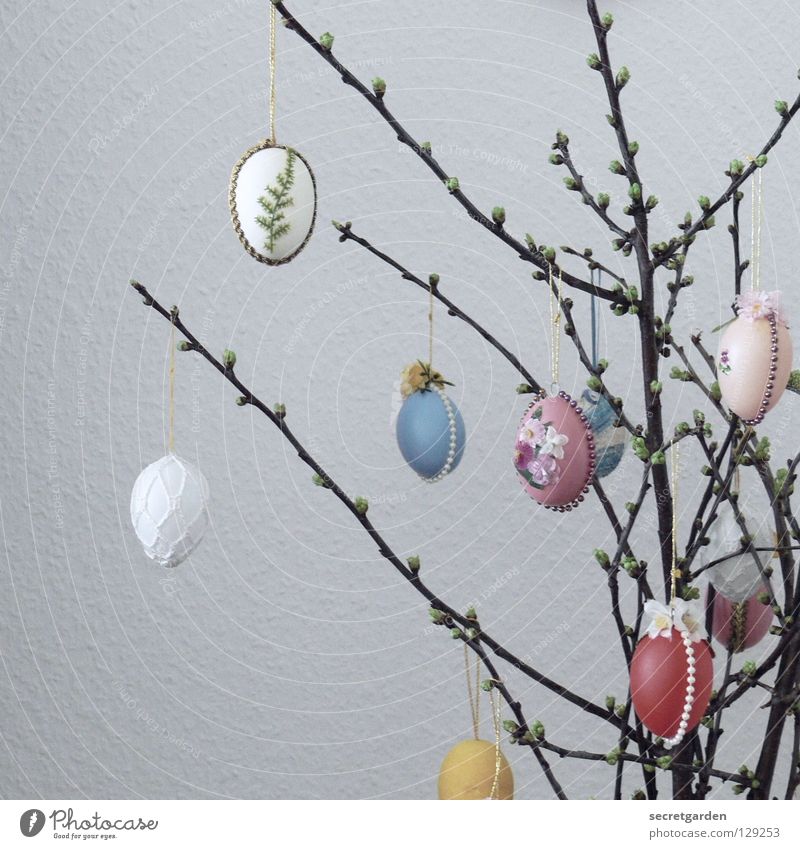 self crocheted Easter Easter egg Bushes Multicoloured Homey White Red Pattern Hang Flat (apartment) Living room Wallpaper Ingrain wallpaper Room Catkin Plant