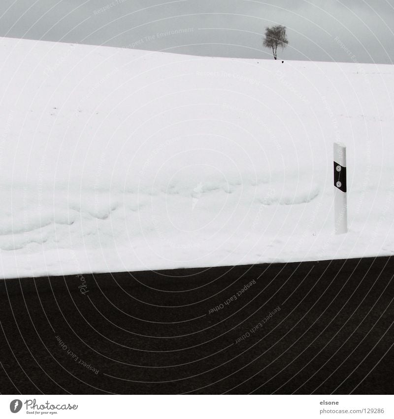 ::TRISECTION:: Winter Tree Minimal 3 Concrete Asphalt Black White Gray Traffic infrastructure Mountain Snow Street Sky edge marking elson