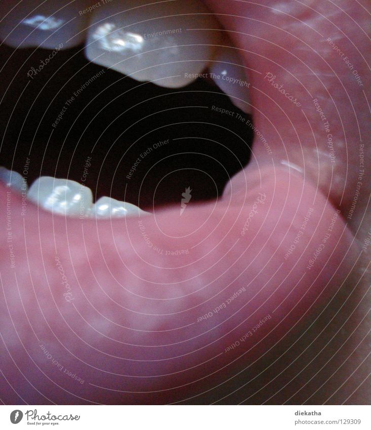 Read my lips! Lips Red Mouth Near Human being Teeth Macro (Extreme close-up) Partially visible Section of image Detail Facial expression Incisor Open Lower lip