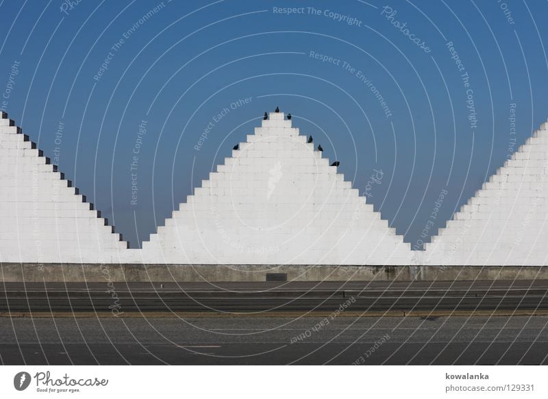 summit Triangle Bird White Geometry Symmetry Meeting Traffic infrastructure Communicate Pyramid Contrast Street Sky Beautiful weather Blue Wait Sit Date Observe