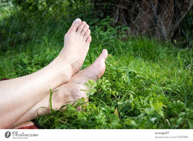 time-out Feminine Woman Adults Legs Feet 1 Human being 45 - 60 years Relaxation Lie Naked Natural Brown Green Pink Calm Exhaustion Break Restful Toes