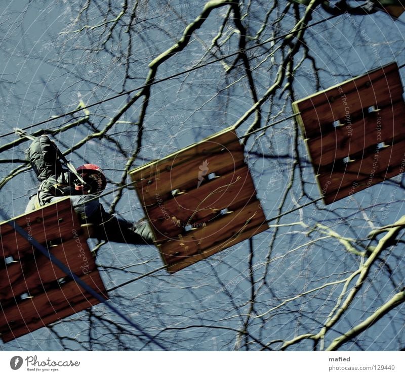 Run for your life Joy Playing Sports Climbing Mountaineering Sky Tree Going Walking Tall Brave Effort Suspension bridge Events Wire cable tightrope