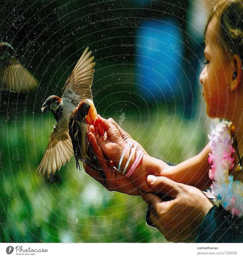 Flying Beauty.... Paris L Bird feeding sparrow pretty birds amazing Snap it