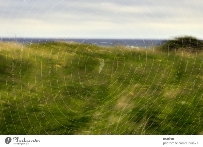 Behind the dune Nature Landscape Plant Water Sky Clouds Horizon Summer Weather Bad weather Wind Grass Bushes Meadow Hill Coast Baltic Sea Deserted Blue Brown