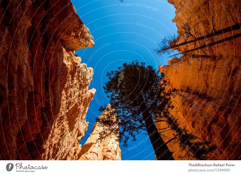 bryce Environment Nature Landscape Earth Sand Sky Cloudless sky Blue Brown Yellow Gold Orange Black White Tree Shadow Rock Rock formation Bryce Canyon USA