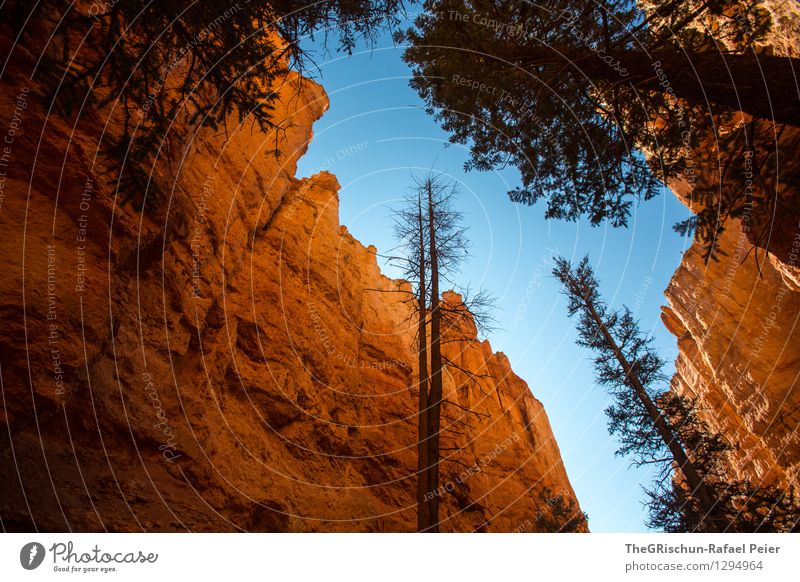 Bryce Reloaded Environment Nature Landscape Plant Elements Earth Air Sky Cloudless sky Blue Brown Yellow Gold Orange Black Tree Stone Rock Bryce Canyon