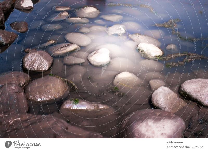 Stones in water Nature Water Summer Coast River yangtze Calm Rock Aquatic plant Creeper Night moonlight Colour photo Exterior shot Deserted Light