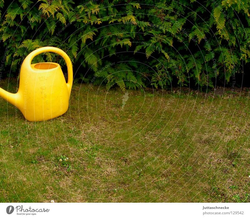 Can the pot...? Yellow Green Jug Watering can Gardener Flower Hedge Grass Spring Work and employment Gardening Leisure and hobbies Carry handle Door handle Cast