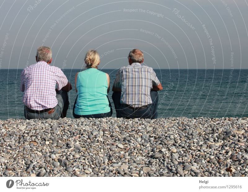 Rear view of a female senior citizen and two seniors sitting on gravel and looking out to sea Vacation & Travel Human being Masculine Feminine Woman Adults Man