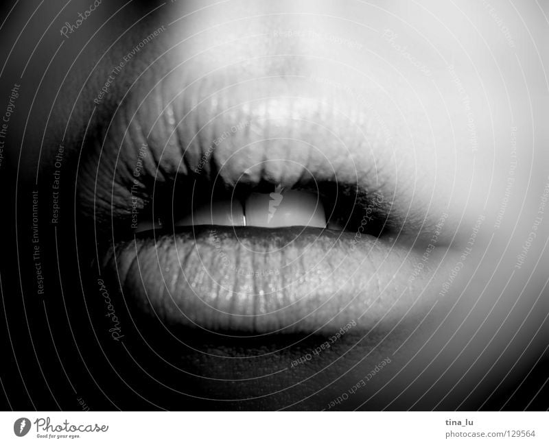 ~ Corner of the mouth Near Intimacy Black White Light Lips Pallid Closed Woman Swing Lipstick Lipgloss Blur Black & white photo Communicate Mouth Open Shadow