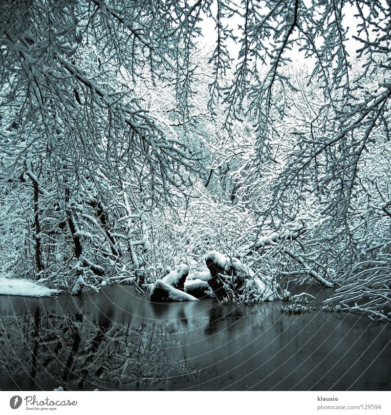 replacement winter White Winter Lake Frozen Cold Reflection Snow Frost Ice